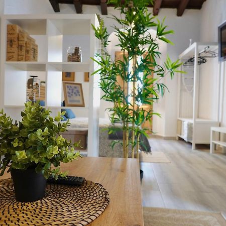 Apartamento Astaregia Jerez de la Frontera Ngoại thất bức ảnh
