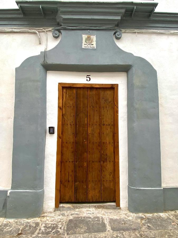 Apartamento Astaregia Jerez de la Frontera Ngoại thất bức ảnh
